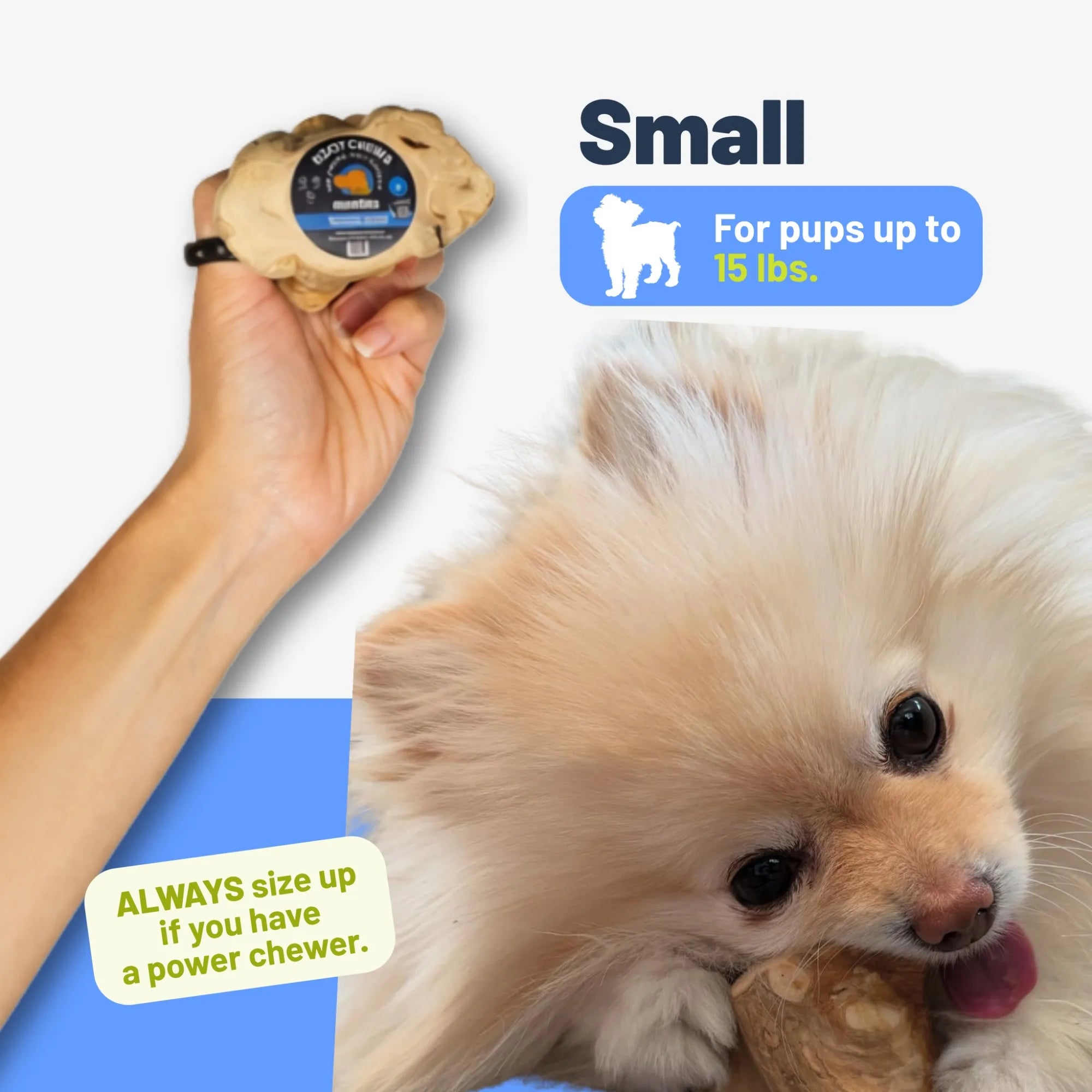 Root Chew, Small