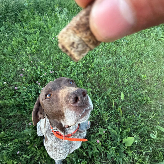 Yummies Bison Liver Treats